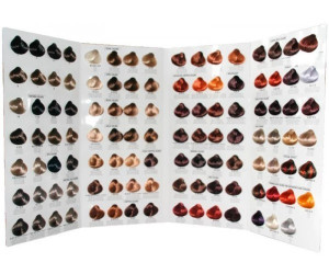 Goldwell Topchic Color Ab 61 87 Preisvergleich Bei Idealo At