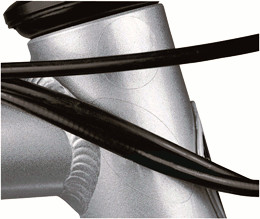 Proline (Asista) Scratch Guard
