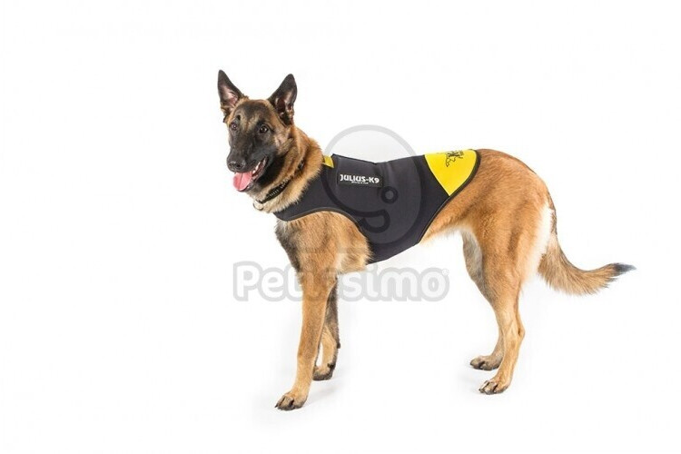 Julius K-9 Manteau pour chien Julius K-9 Manteau pour chien