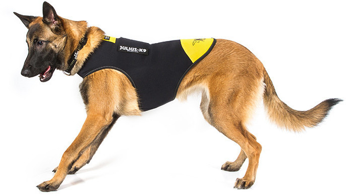 Julius K-9 Manteau pour chien Julius K-9 Manteau pour chien