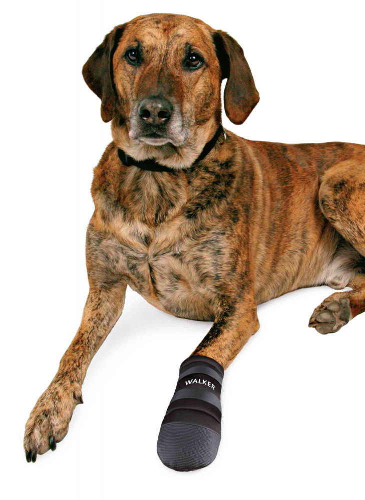Trixie Chaussures pour chien taille M Trixie Chaussures pour chien taille M