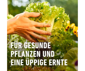saatgut für garten Saatgut-Set Gartengemüse von Die Stadtgärtner