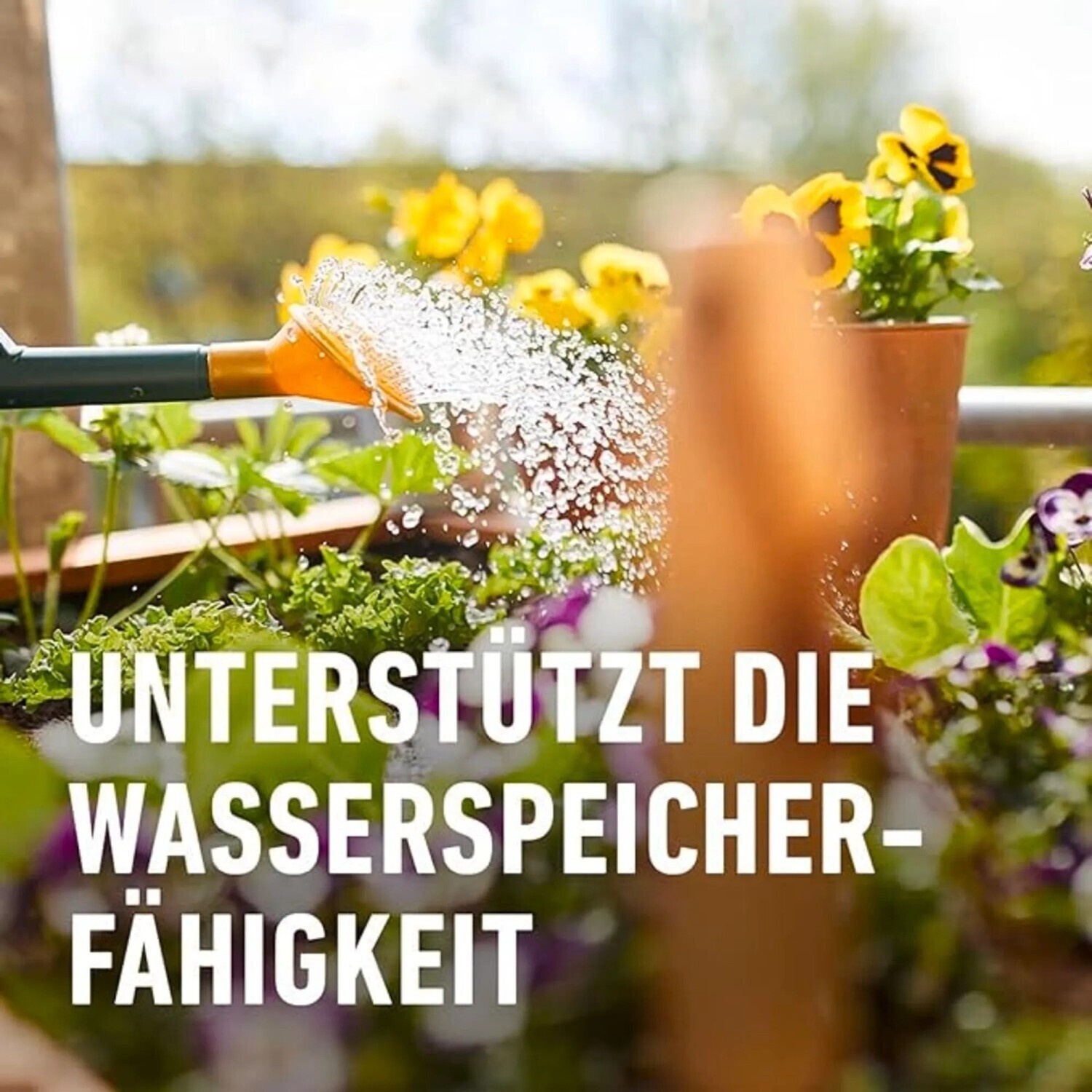 COMPO Bio Universal Langzeit-Dnger mit Schafwolle 2 kg ab 10.87  |  Vergleiche 16 Angebote auf idealo.de