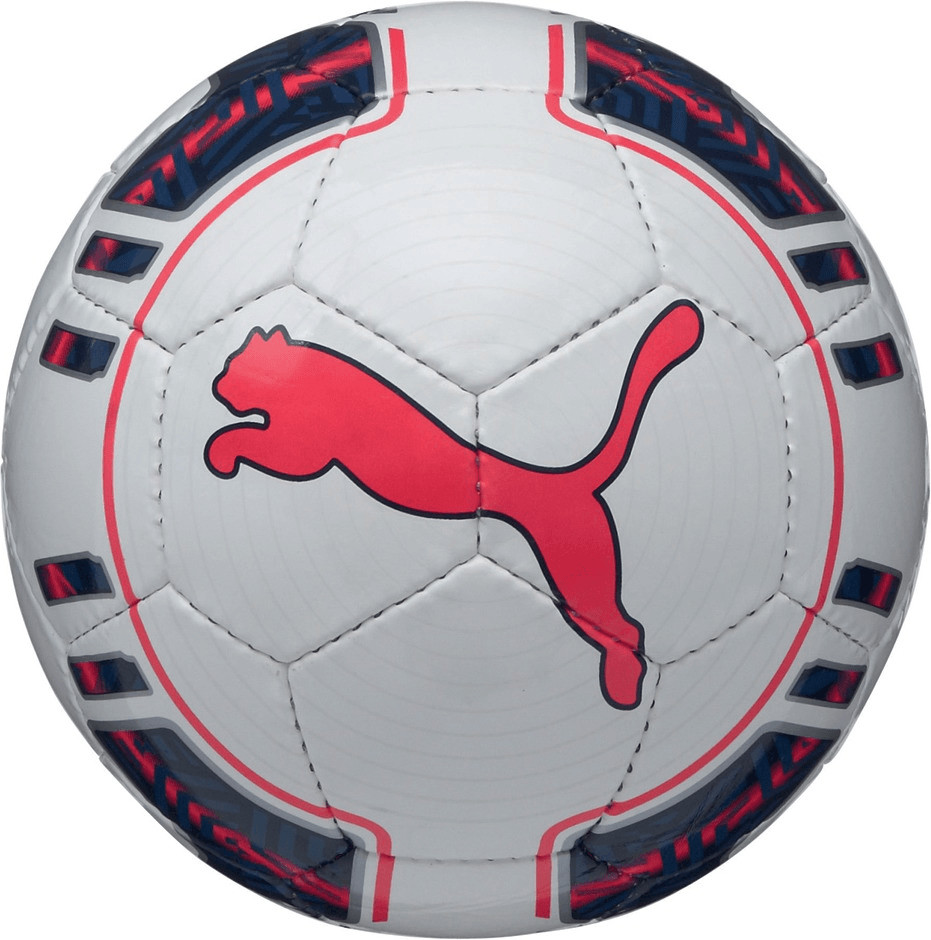 Puma evoPOWER 5 Futsal