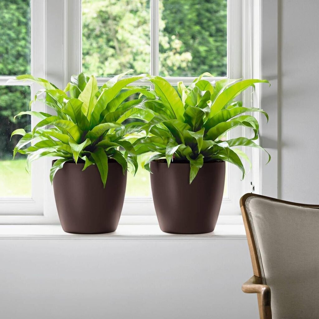 Lechuza Lechuza Classico Color 35/33 cm slate - view 12