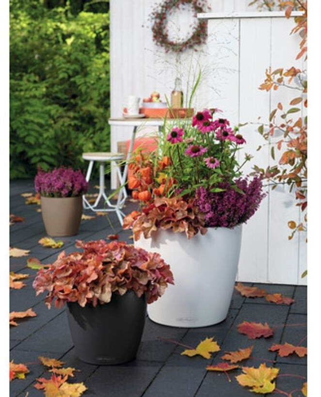 Lechuza Lechuza Classico Color 35/33 cm slate - view 14