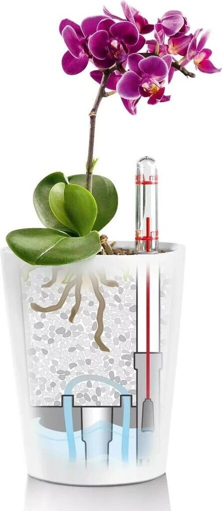 Lechuza Lechuza Deltini All-in-One Set taupe - view 30