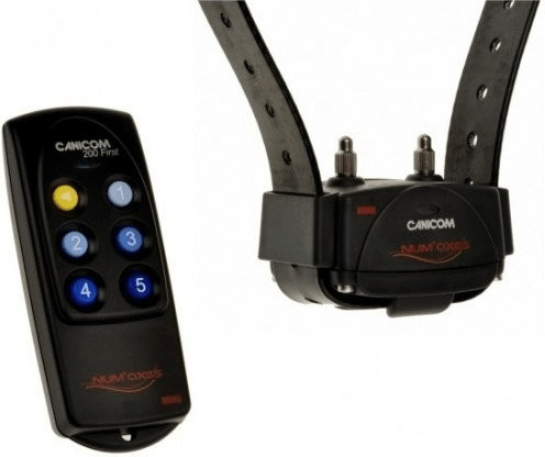 Num'axes Collier de dressage Canicom 200 First (PFDRESTI054)