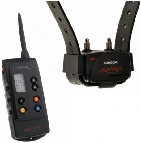 Num'axes Collier de dressage Canicom 1.500