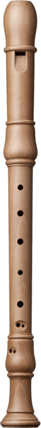 Küng Studio Alto