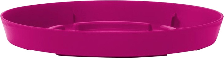 Emsa Soucoupe City Curve (19 cm) rose