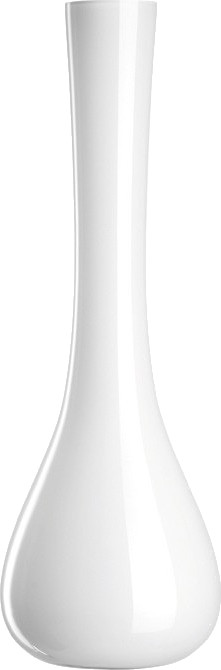 Leonardo Sacchetta 60cm