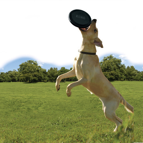 Frisbee KONG Flyer pour chien (grand modèle)
