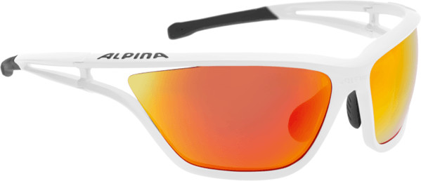 Alpina Sports Eye-5 CM+ (white matt black)