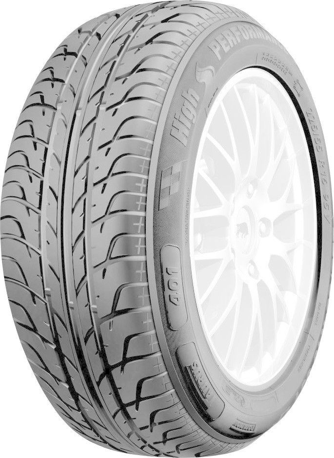 Taurus 401 205/55 R16 91V