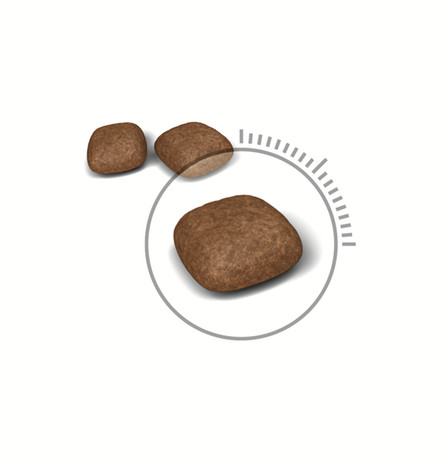 Royal Canin Croquettes pour chat Urinary