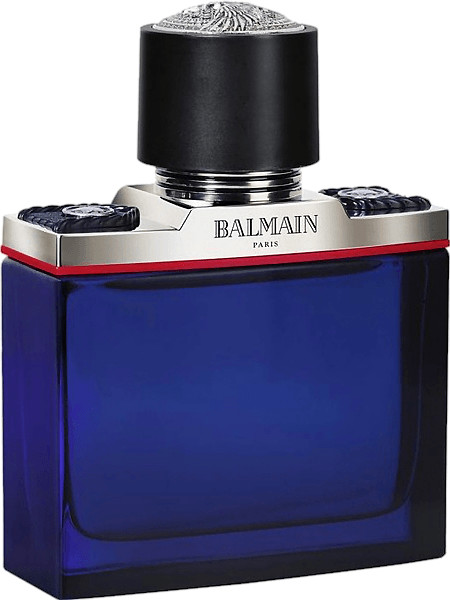 Pierre Balmain Balmain Homme Eau de Toilette (100 ml)
