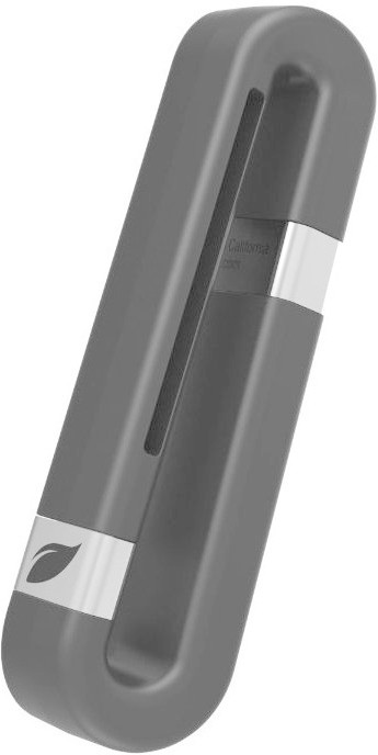 Leef iBridge 256 Go