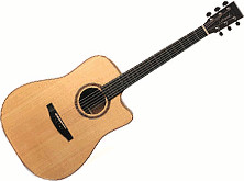 Lakewood D-18 CP
