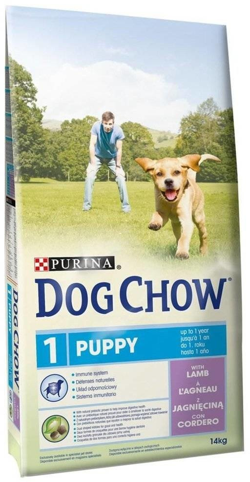 Purina Croquettes pour chien 14 kg Purina Croquettes pour chien 14 kg