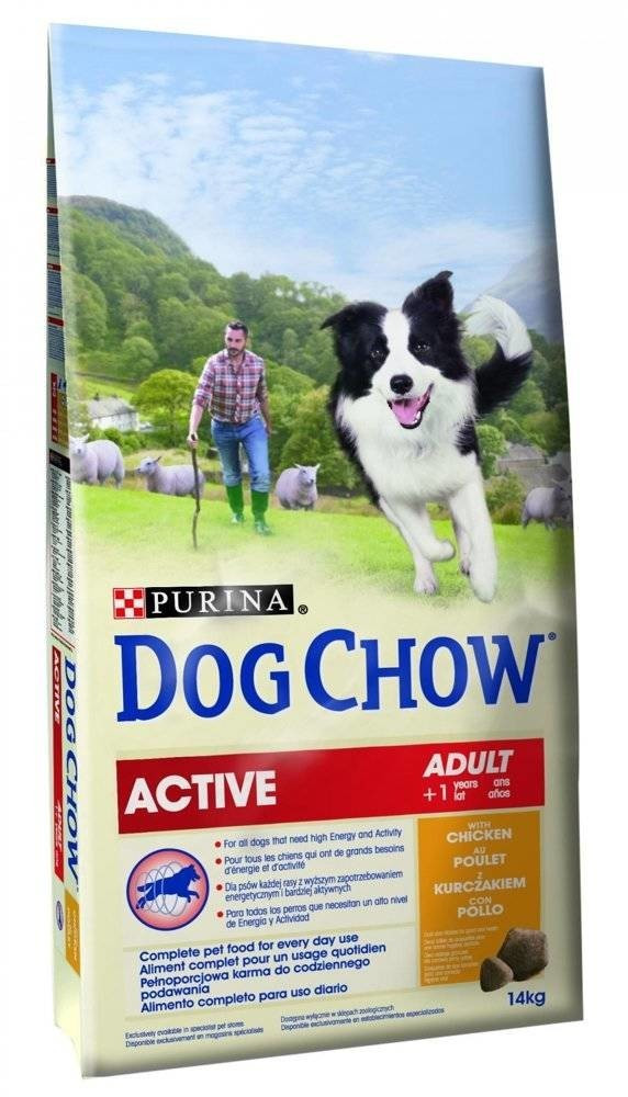 Purina Croquettes pour chien