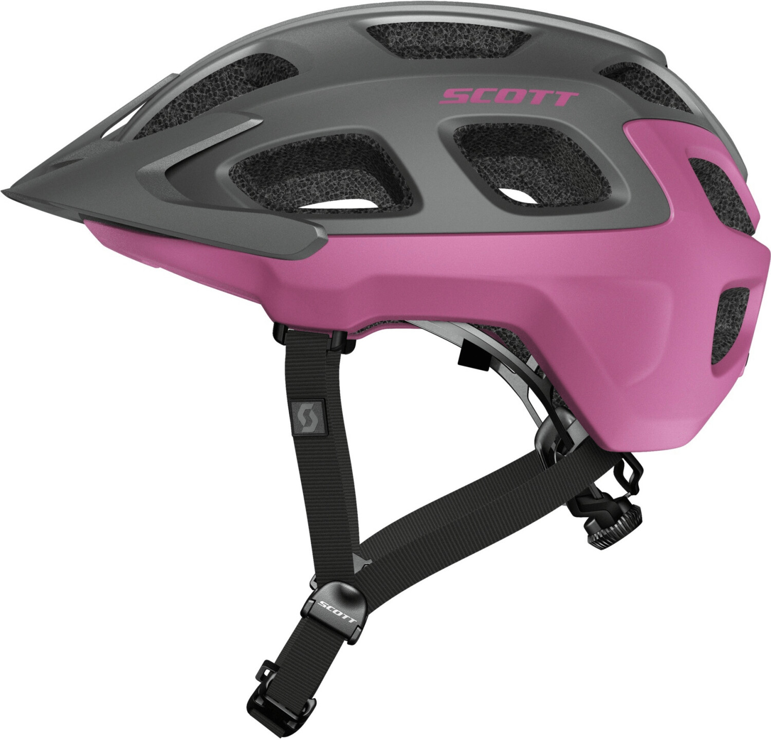 Scott Vivo