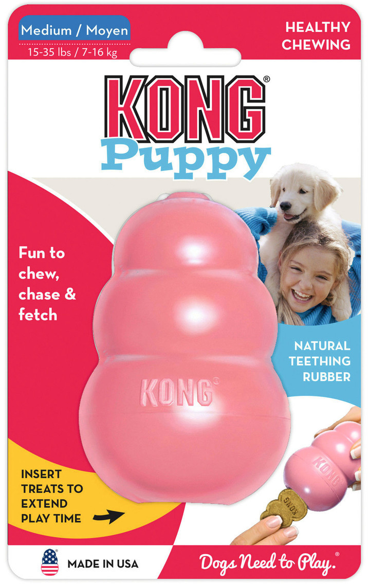 Kong Puppy M