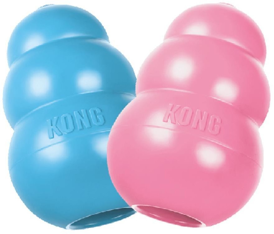 Kong Jouet pour chiot M Kong Jouet pour chiot M