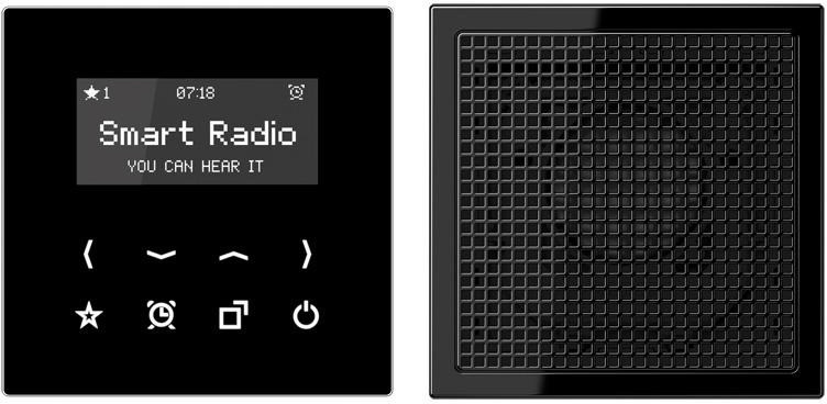 Jung RAD LS 918 SW (noir)