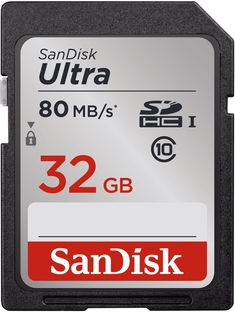 SanDisk Ultra SDHC Classe 10 UHS I 32 Go (SDSDUNC-032G-GN6IN)