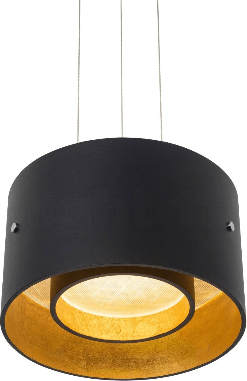 OLIGO Suspension Trofeo