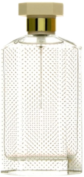 Stella McCartney Stella Eau de Toilette (100 ml)