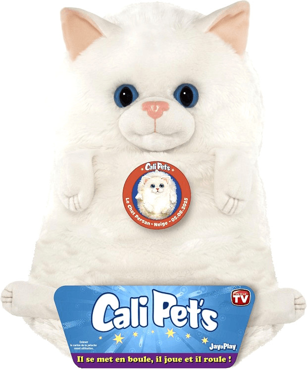 Dujardin Cali Pet's chat persan