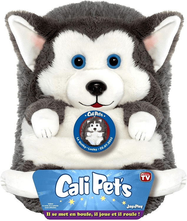 Dujardin Cali Pet's chien husky