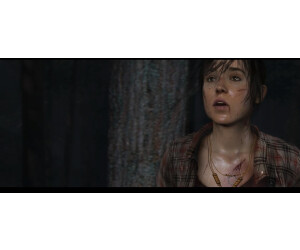 heavy rain and beyond two souls