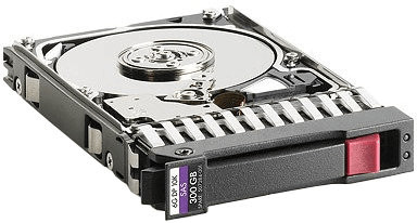 HPE SAS II 300 Go (653955-001)
