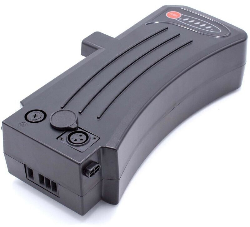 vhbw Batterie pour vélo électrique 24 V 10400 mAh