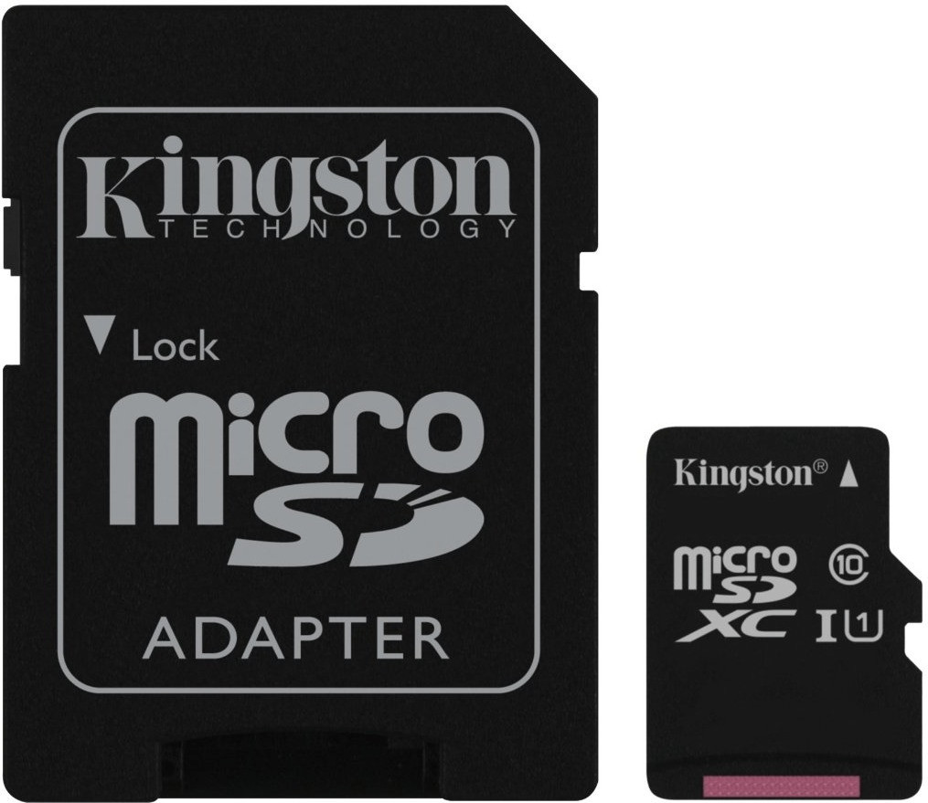 Kingston MicroSDXC 256 Go UHS-I Class 10 (SDC10G2/256GB)