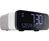 Pure Siesta Charge Graphite - Radio-réveil DAB+/FM et chargeur sans fil -  Réveil et Radio - Pure