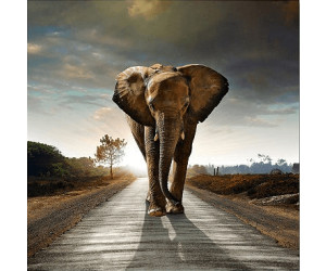 Wandbild Druck auf Plexiglas® Acryl Hochformat 50x100 Elefant 