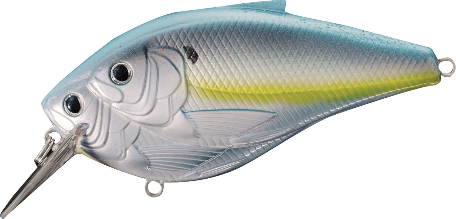 Koppers Live Target Threadfin Shad Sqarebill 6cm