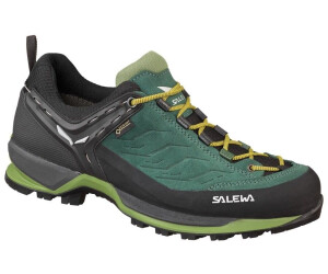 Salewa MTN Trainer GTX Men au meilleur prix sur idealo