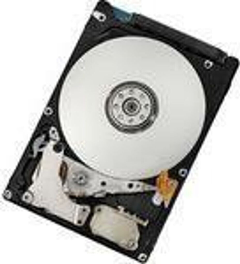 IBM SATA II 500 Go (42D0753)