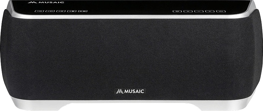 Musaic MP10
