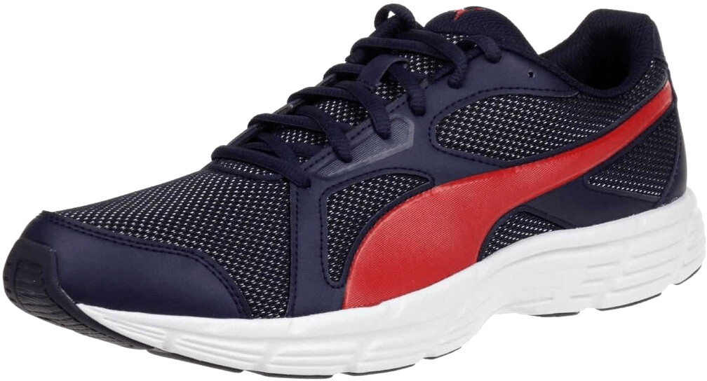 Puma Axis V4 Mesh
