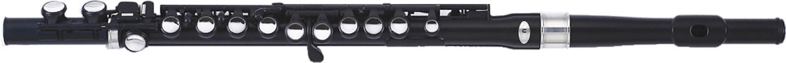 Nuvo Instruments Student Flute (noir)