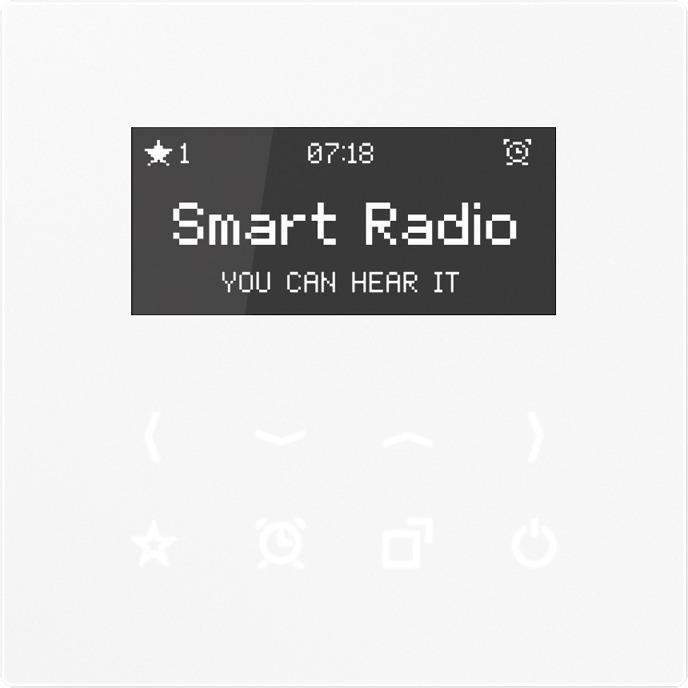 Jung Series LS Smart Radio (RAD LS 908)