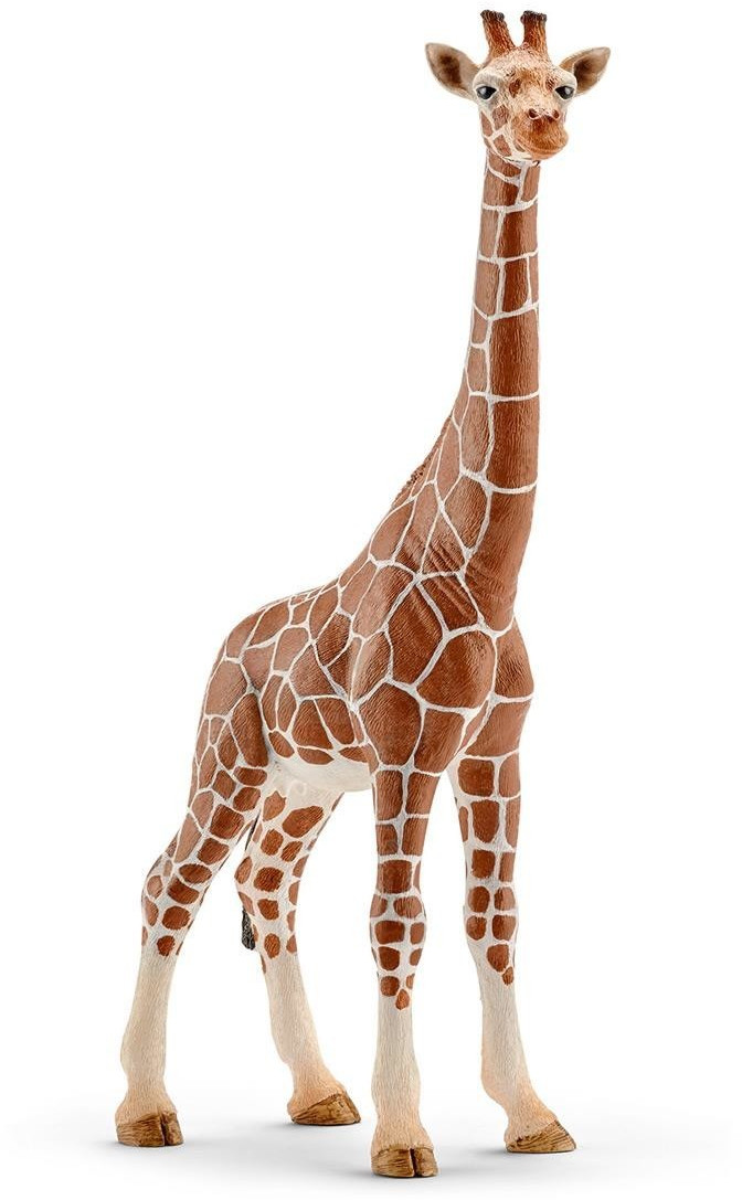 Schleich Giraffe Female (14750)