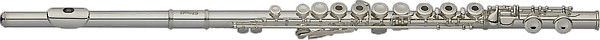 Stagg WS-FL251S