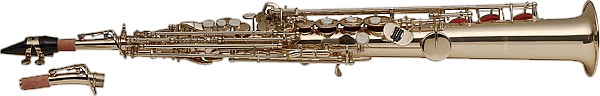 Stagg WS-SS225